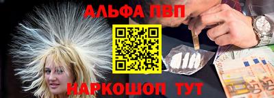 стаф Кингисепп