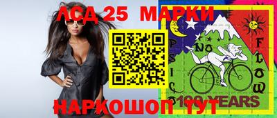 стаф Кингисепп