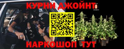 стаф Кингисепп