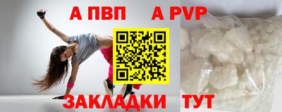 стаф Кингисепп