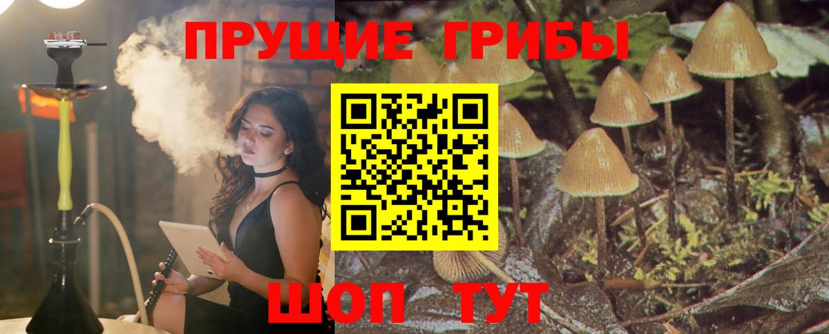 Псилоцибиновые грибы мицелий  Вход с VPN  Красногорск 